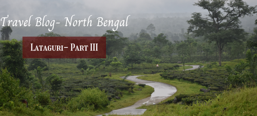 North Bengal Travel Blog Post: LATAGURI Part III- Sightseeing
