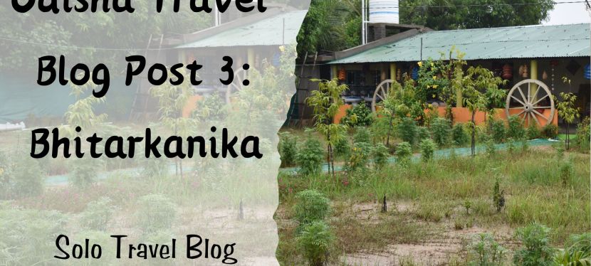 MY SOLO TRIP TO ODISHA, INDIA: BLOG POST 3- Bhitarkanika- Where to Stay??